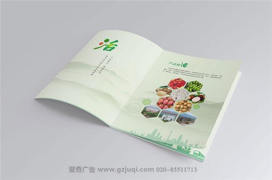 广州画册设计 广州画册设计