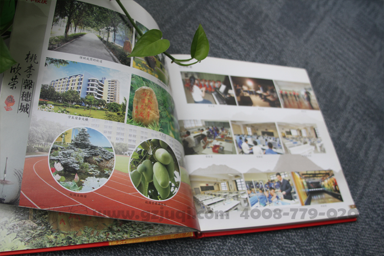 学?；嵘杓?/></p><p style=