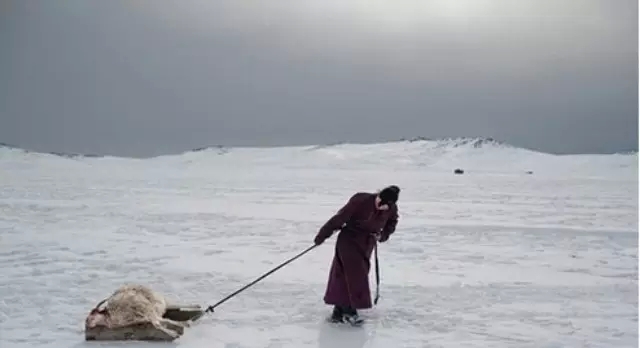 传统的广告行业在经历寒冬，只有户外广告最争气  