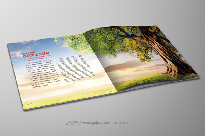 画册设计效果图 画册设计效果图