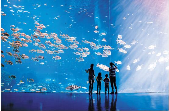 广东海洋展馆设计公司 广东海洋展馆设计公司
